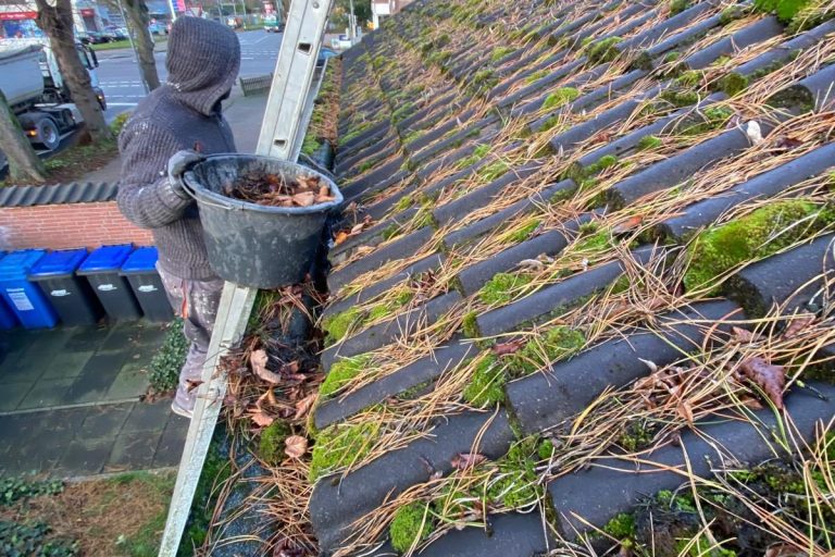 Dachreinigung, Dachrinnenreinigung & erlaubte Dacharbeiten in Wardenburg, Oldenburg & Ammerland. Schnell, zuverlässig & ohne Meisterpflicht. Dachreinigung & Dachpflege Dachrinne Wardenburg Oldenburg